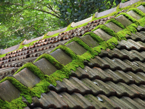 Démoussage de toiture à Gimont